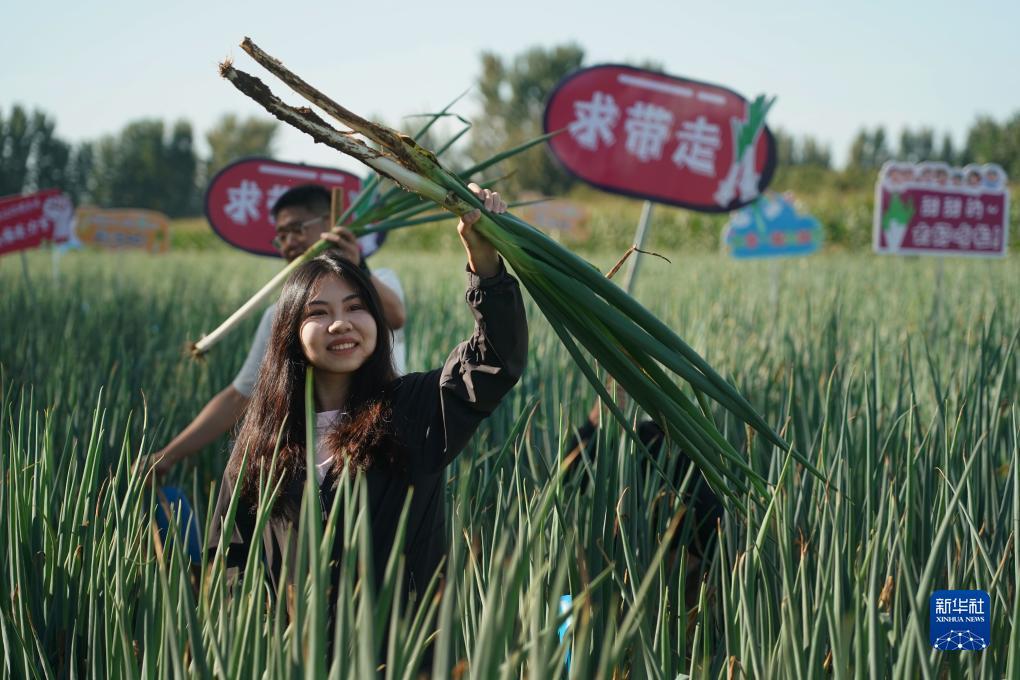 连环夺宝放奖时间
