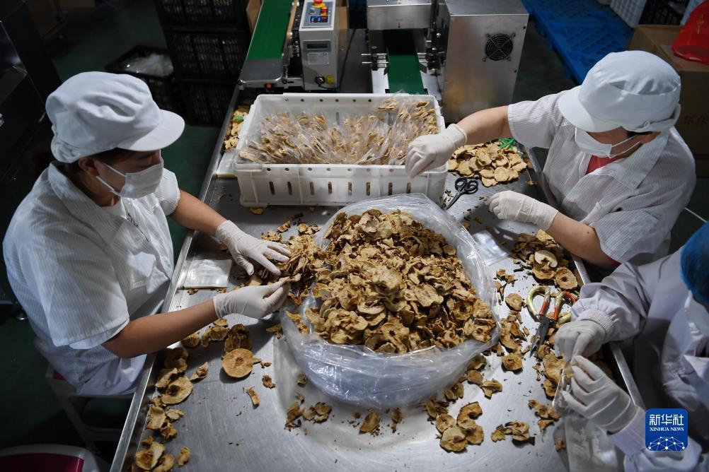 万宝娱乐娱乐平台